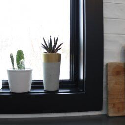 kitchen window with plants